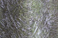 Etsell fibreglass roof work